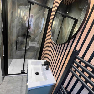 Bathroom mirror and shower sink